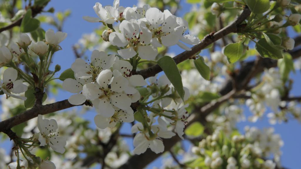 Pensjonat Agriturismo Sarrabus San Priamo Zewnętrze zdjęcie