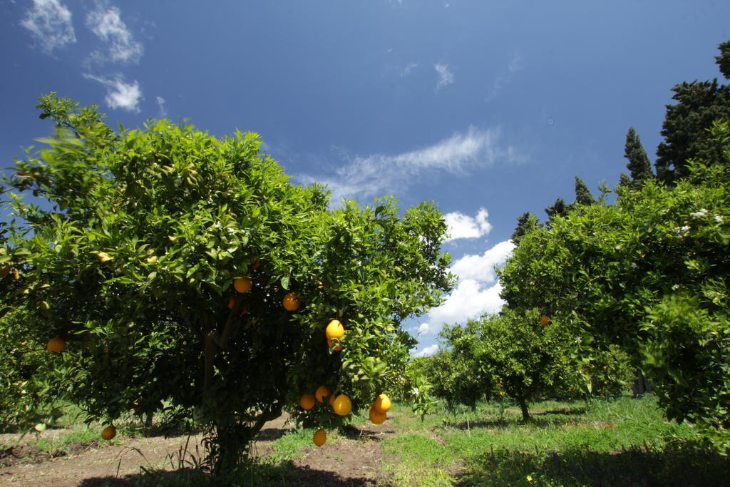 Agriturismo Sarrabus San Priamo Zewnętrze zdjęcie